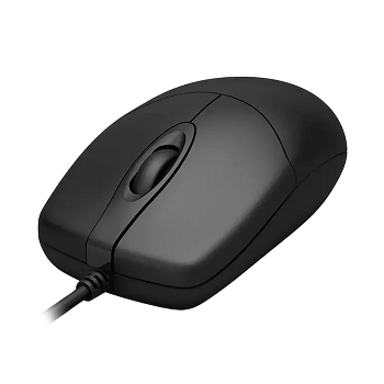 Mouse Ambidiestro USB Philips 1000dpi _ FotoThumb